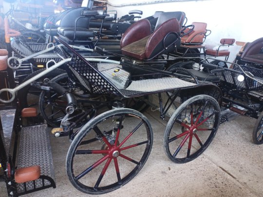 S155_Marathon_Dynamic_02