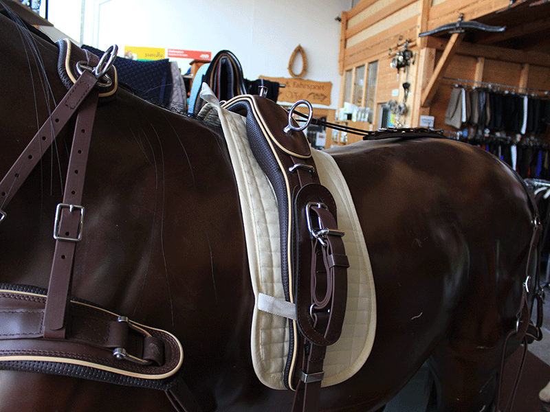 Arden Biothane Brustblatt Lux Einspänner Arden Biothane Brustblatt Lux Einspänner