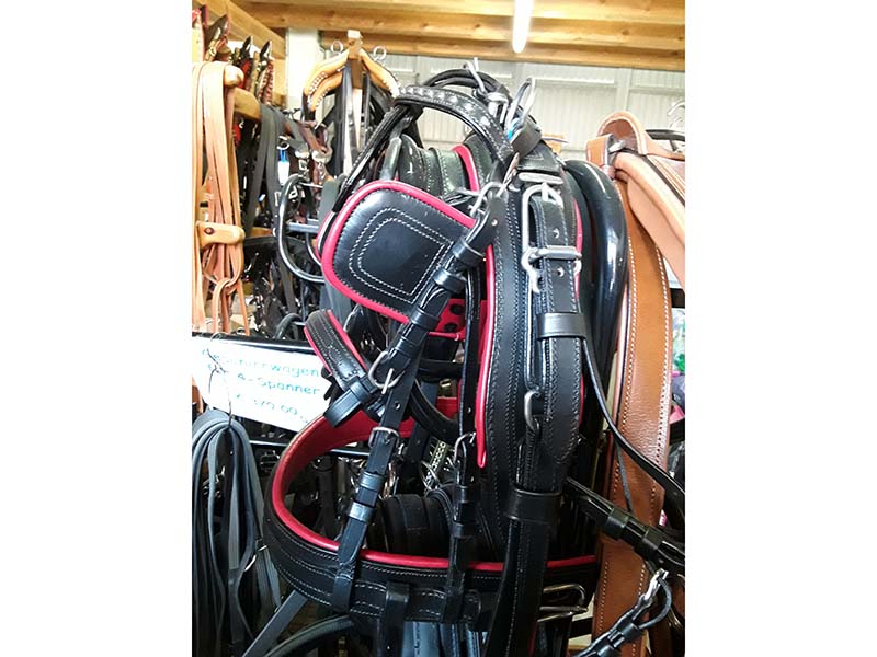 Einspänner Geschirr Leder Kunststoff Shetty