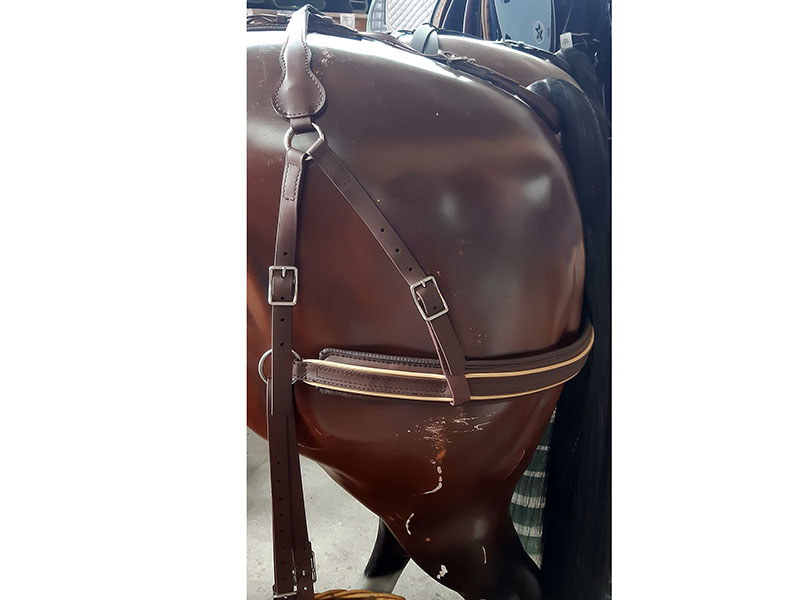 Hintergeschirr Biothane Arden Hintergeschirr Biothane Arden