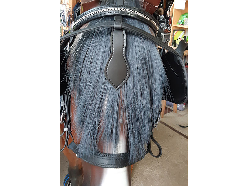 Kopfgestell Arden Biothane Lux  Kopfgestell Arden Biothane Lux