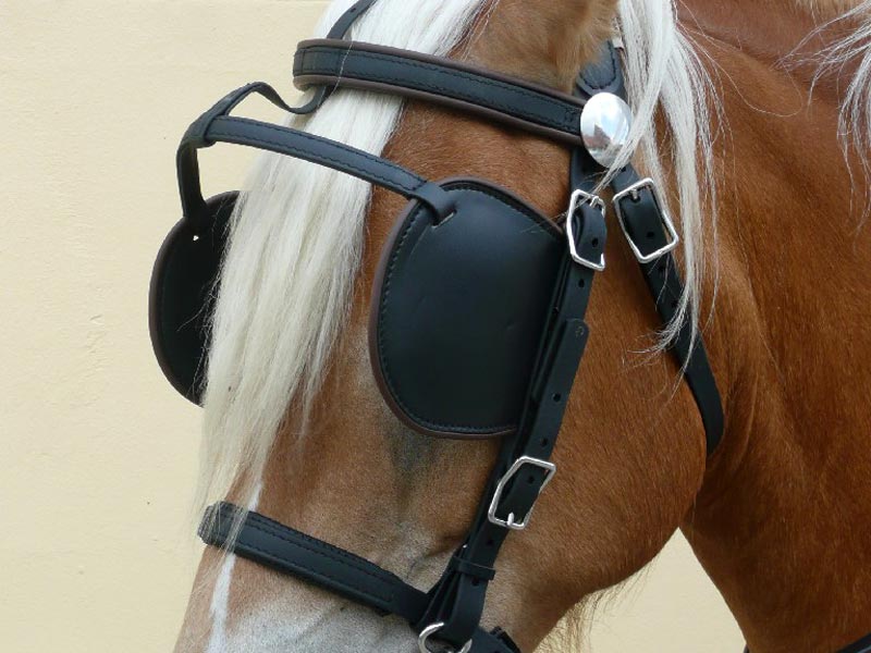 Arden Brustblattgeschirr Biothane Marathon Einspänner Arden Brustblattgeschirr Biothane Marathon Einspänner