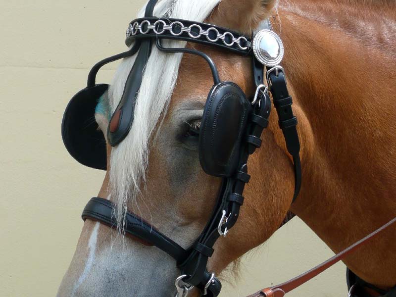 Ledergeschirr *Super Lux* Zweispänner Ledergeschirr *Super Lux* Zweispänner