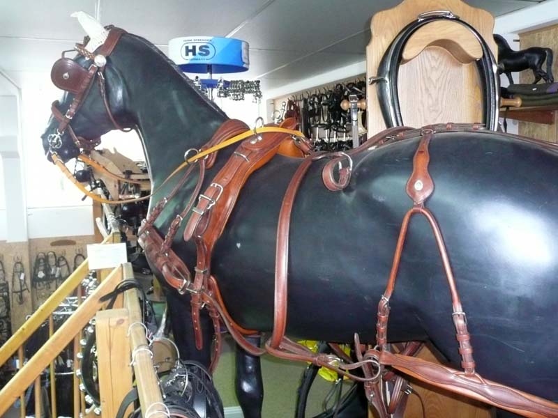 Ledergeschirr *Super Lux* Zweispänner Ledergeschirr *Super Lux* Zweispänner