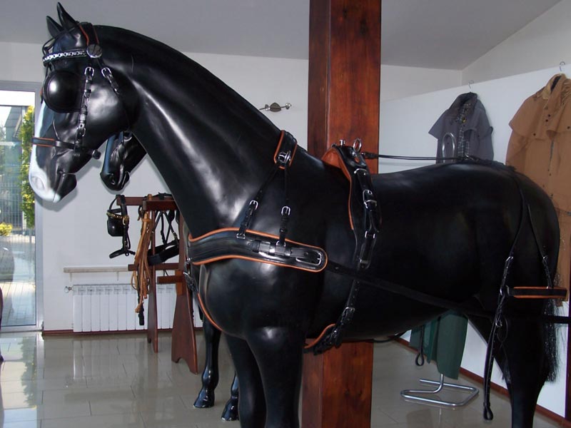 Ledergeschirr *Standard Lux* Zweispänner Ledergeschirr *Standard Lux* Zweispänner