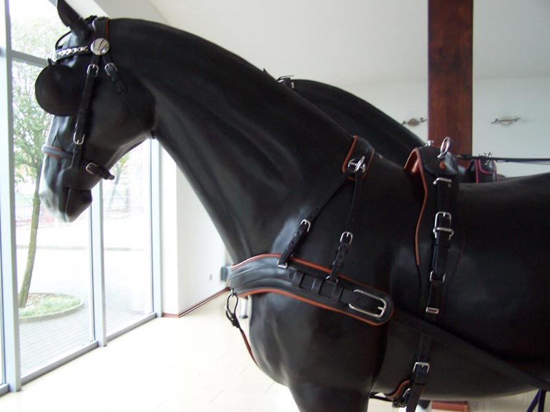 Ledergeschirr *Standard Lux* Zweispänner Ledergeschirr *Standard Lux* Zweispänner