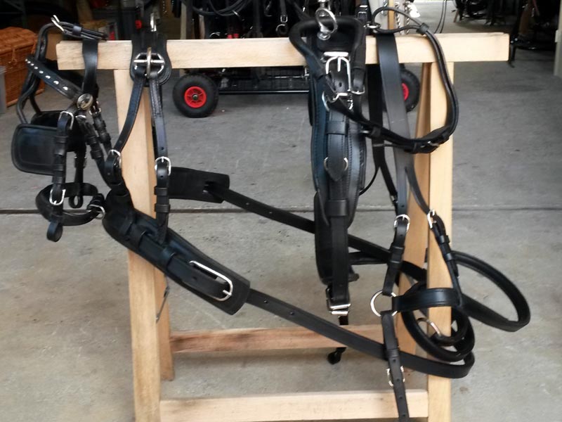 Einspänner-Geschirr Economy M-Sh bis Po