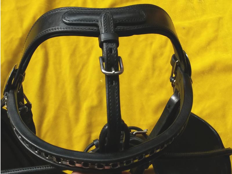 Ledergeschirr *Super Lux* Zweispänner Ledergeschirr *Super Lux* Zweispänner