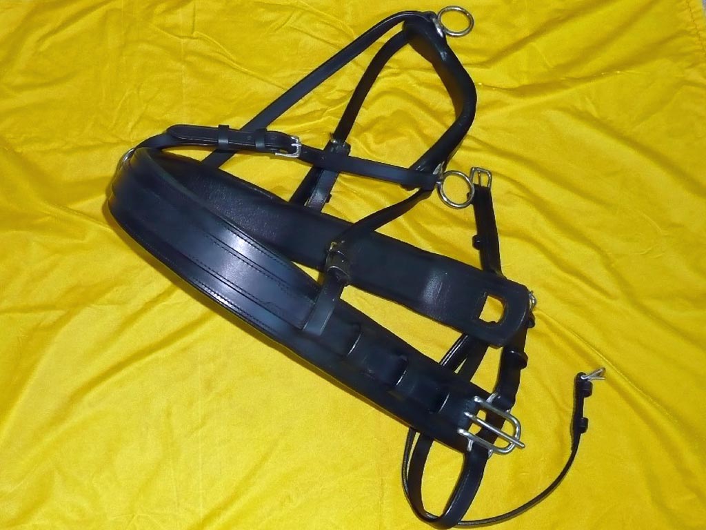 Brustblatt *Diplomat* - Zweispänner Brustblatt *Diplomat* - Zweispänner