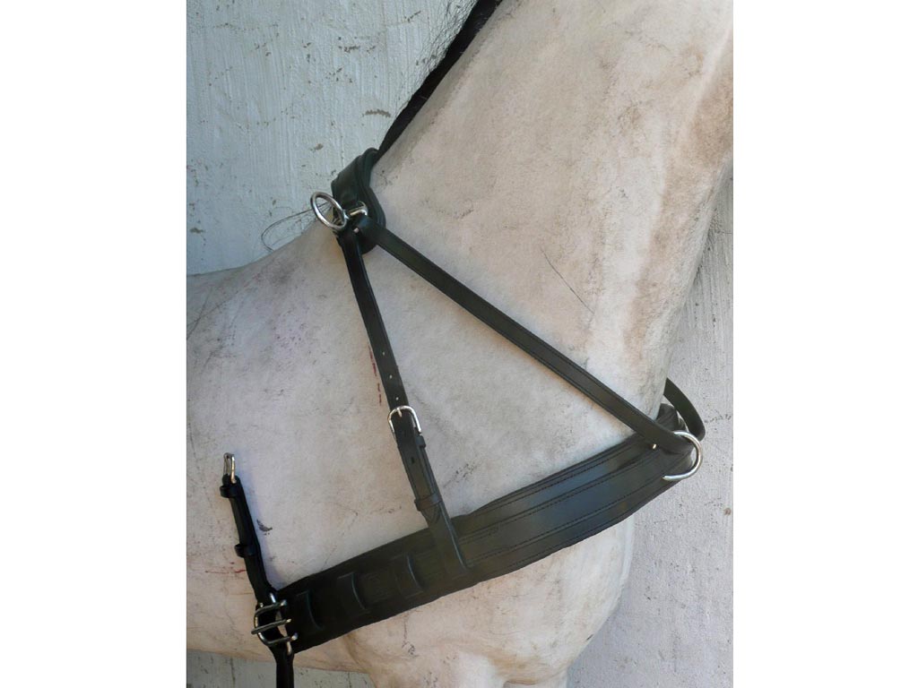 Brustblatt *Diplomat* - Zweispänner Brustblatt *Diplomat* - Zweispänner