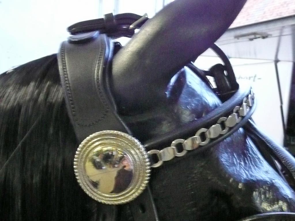 Kopfgestell Arden Leder *Super-Lux* Kopfgestell Arden Leder *Super-Lux*