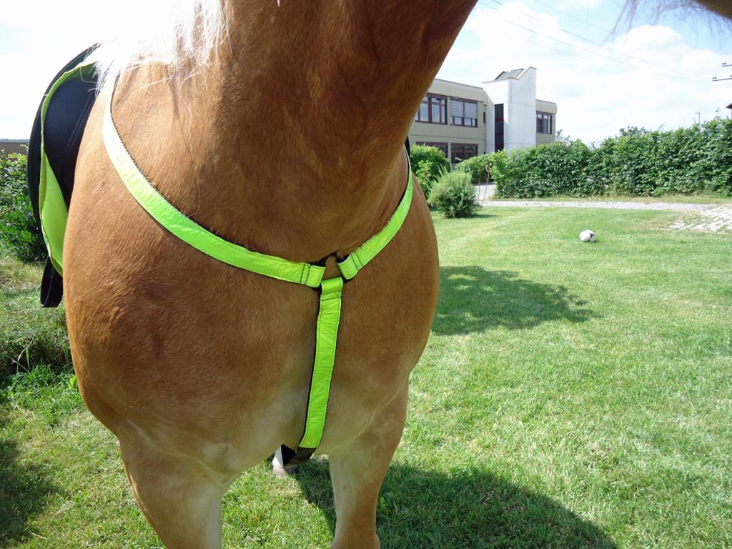 Brust-Reflektor Brust-Reflektor