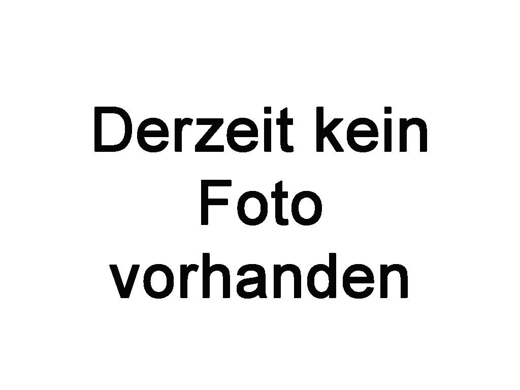 Halsriemen Leder Halsriemen Leder