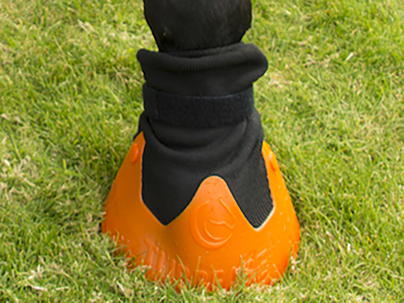 EVA-Einlage f. Hufschuh Behandlungsschuh Tubbease EVA-Einlage f. Hufschuh Behandlungsschuh Tubbease