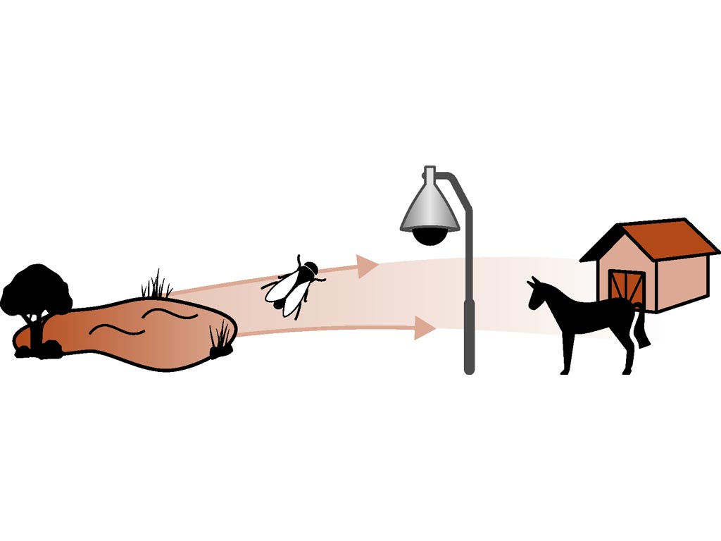 Bremsenfalle TAON-X Bremsenfalle TAON-X