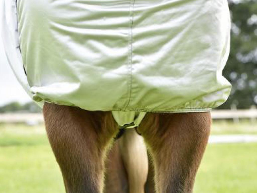 Ekzemerdecke STRONG Ekzemerdecke STRONG