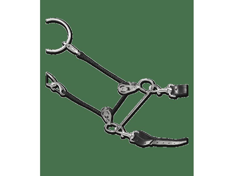 Reit - und Longierhilfe * Gentle Way* Reit - und Longierhilfe * Gentle Way*