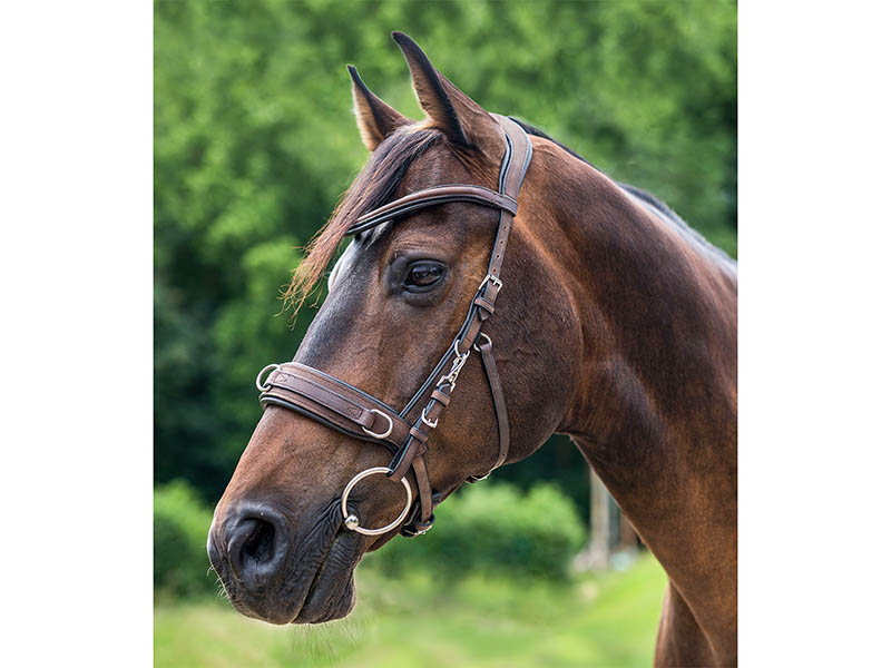 Lederkappzaum Anatomic braun versch. Größen Lederkappzaum Anatomic braun versch. Größen