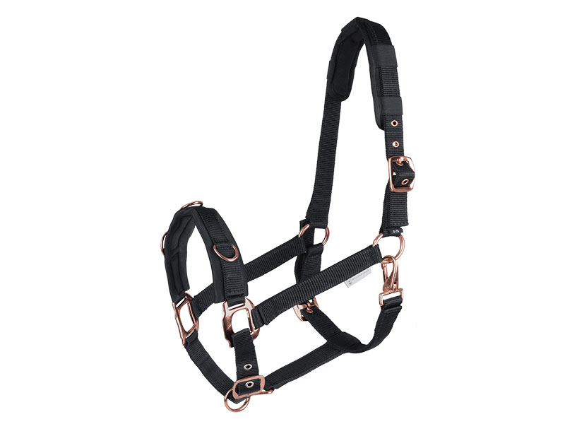 LONGIERHALFTER ROSÉ LONGIERHALFTER ROSÉ