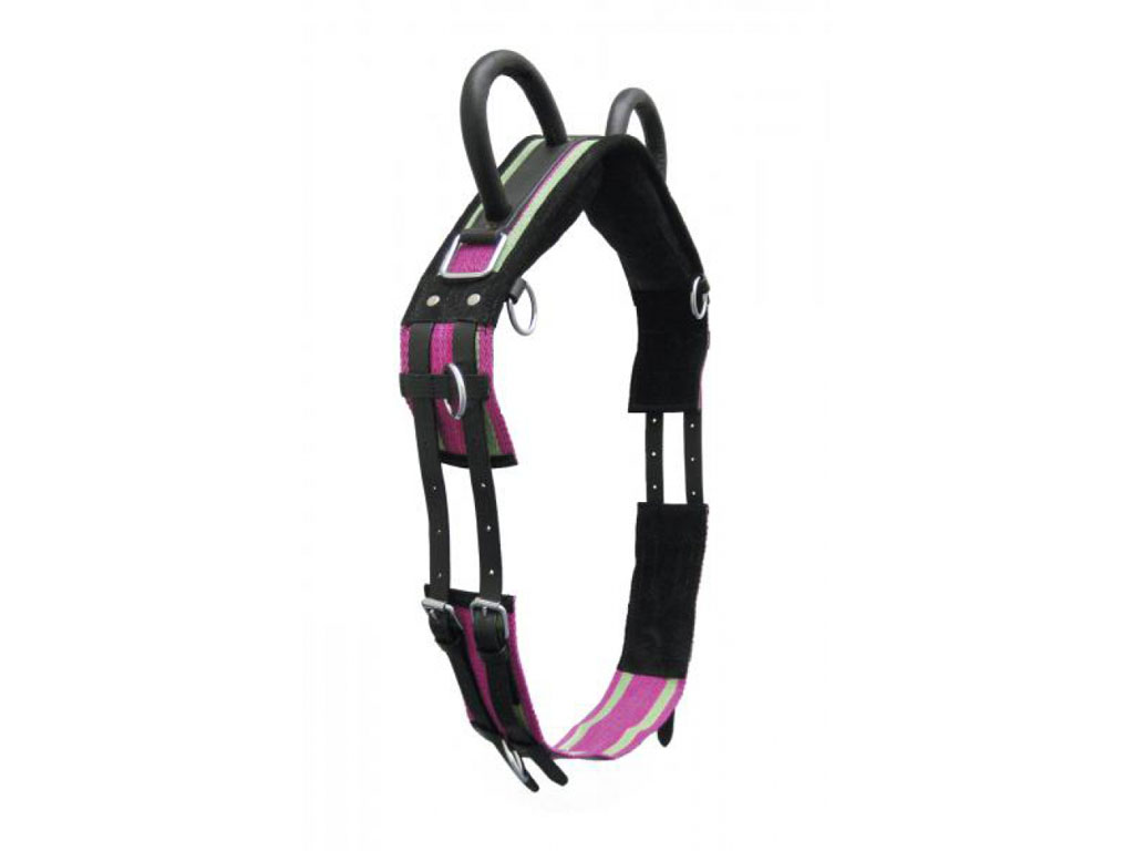 Longiergurt *DOUBLE* ab Minishetty