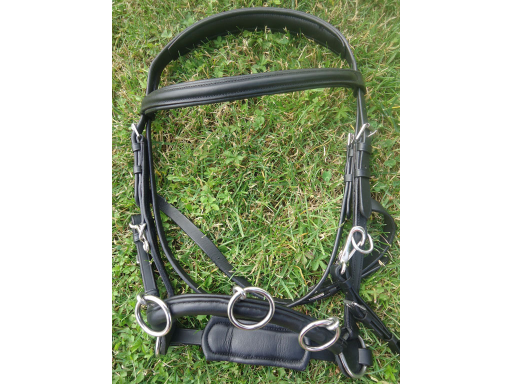 Kappzaum / Caveson jetzt von Mini-Shetty bis XXL Kappzaum / Caveson jetzt von Mini-Shetty bis XXL