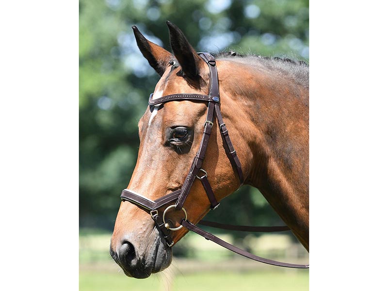 Trense *Feeling* von Busse Trensenzaum Trense *Feeling* von Busse Trensenzaum