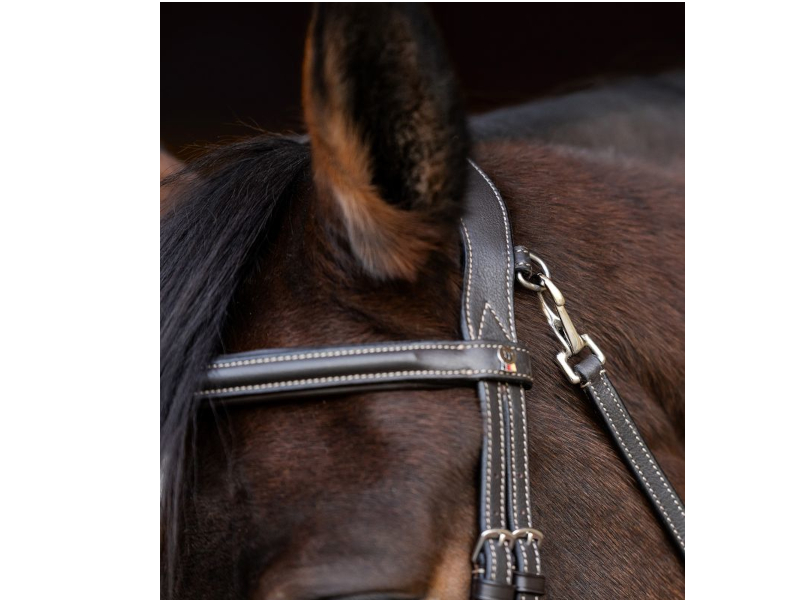 Waldhausen X-Line Trensenzaum Work  Waldhausen X-Line Trensenzaum Work