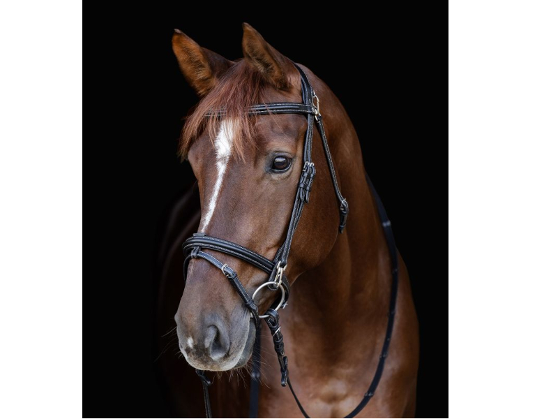 Waldhausen X-Line Trensenzaum Work  Waldhausen X-Line Trensenzaum Work