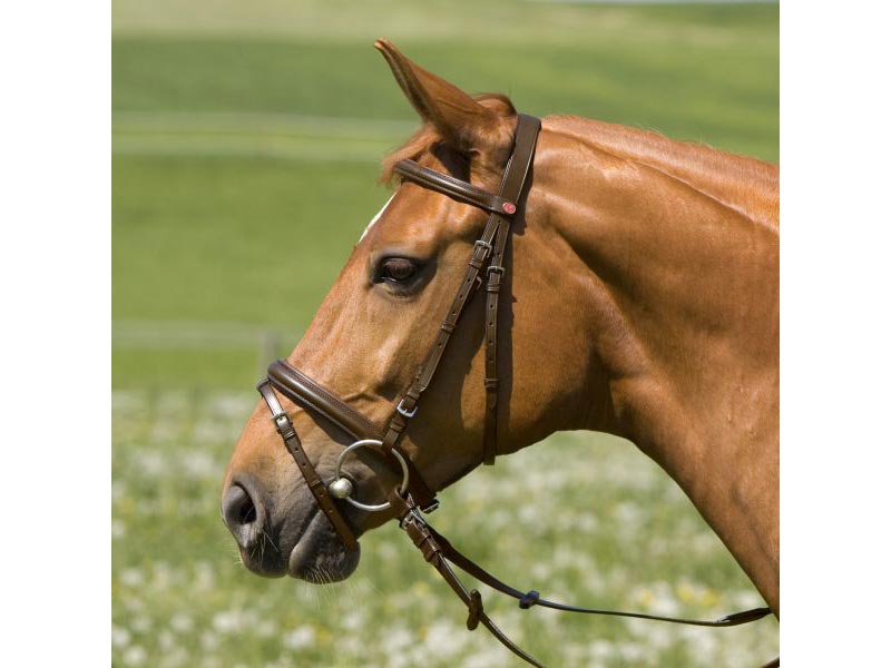 Kieffer Kaltbluttrense *Belinda 216* schwarz