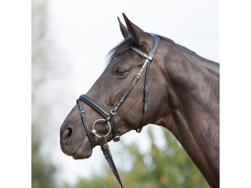 Kieffer Trensenzaum *Ultrasoft 384*  Kieffer Trensenzaum *Ultrasoft 384*